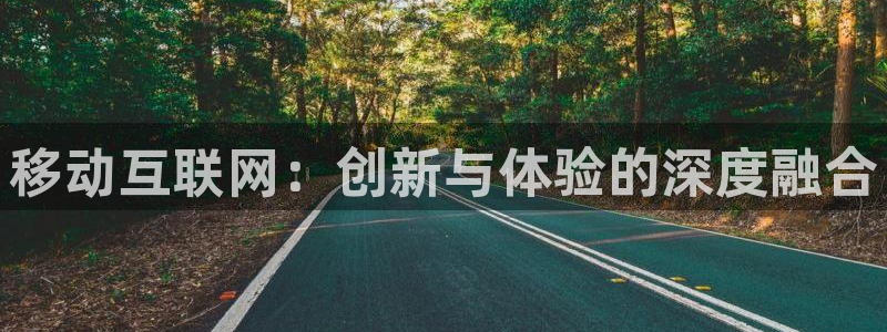 九游会新站