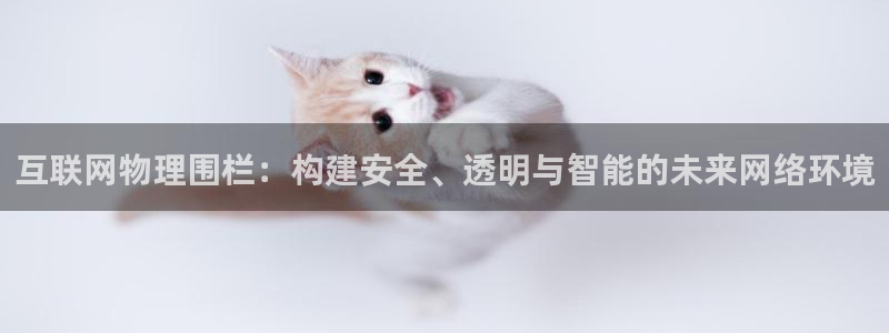 九游会国际
