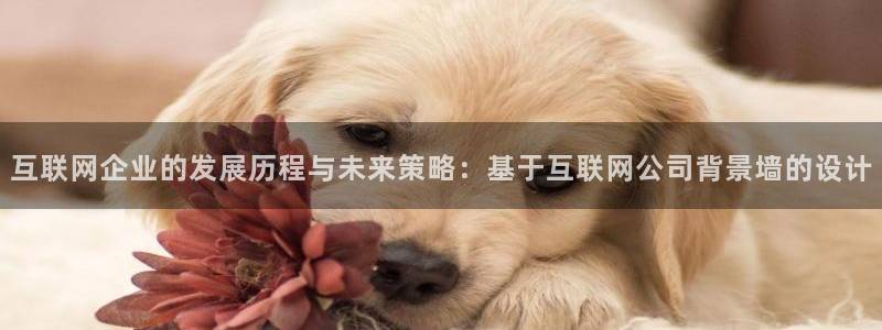 莉莉斯园游会九游