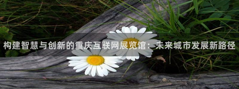 九游会官网入口下载