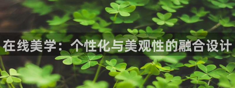 亚洲九游会公司