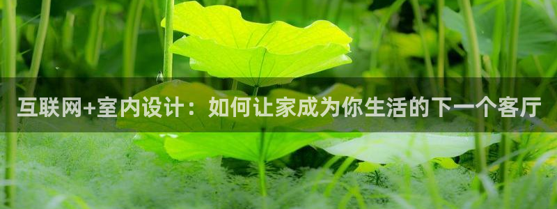 九游会usdt