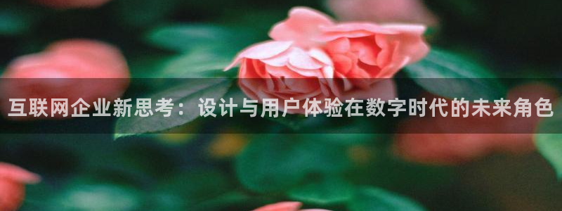 九游账号会