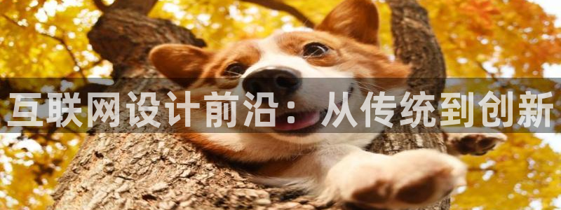 九游会官网网页版入口