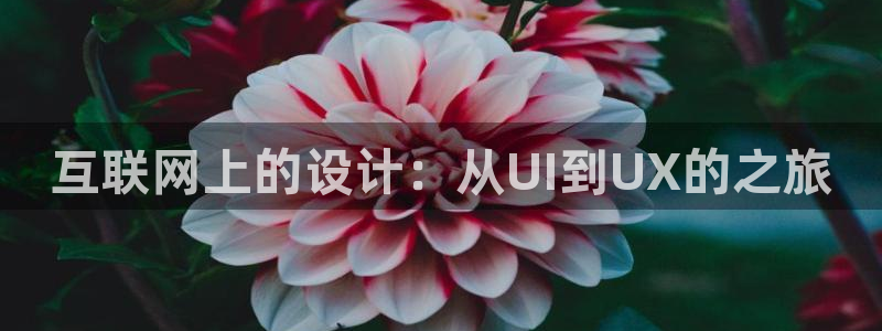 九游会新站