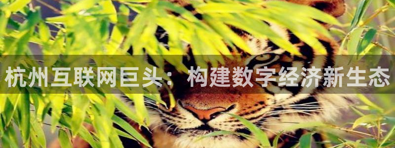 j9九游会入口：杭州互联网巨头