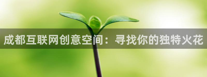 九游会官网手机版入口