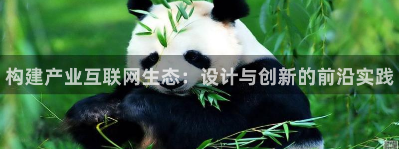 九游会手机登陆吗