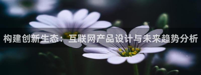 a九游会