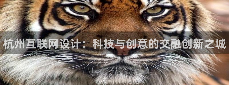 我的九游会