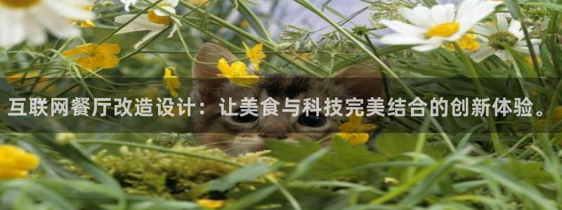 九游会网址导航