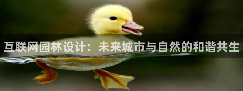 ag九游会网址大全