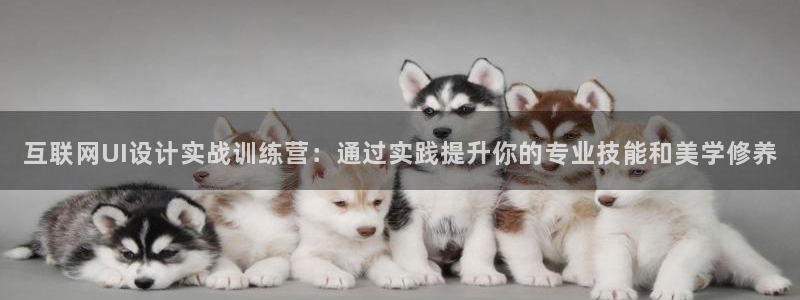 九游会数字货币平台