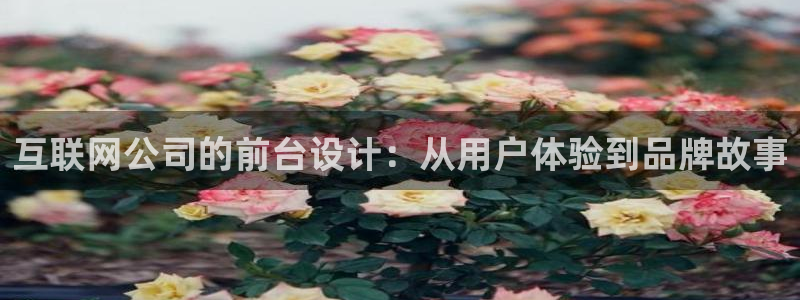 九游与九游会新选择：互联网公司