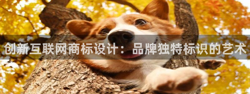 九游与九游会：创新互联网商标设