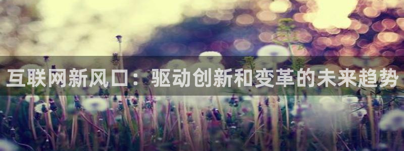 九游会官方网站中心：互联网新风