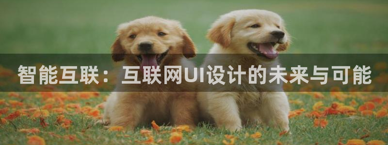j九游会