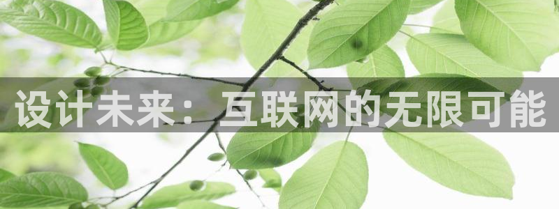 九游会j9客服：设计未来：互联