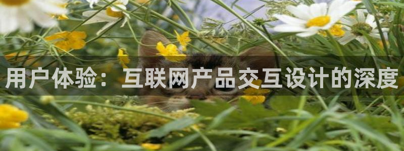 ag九游会官方登陆