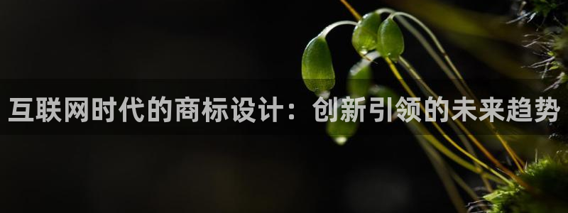 九游会老歌俱乐部
