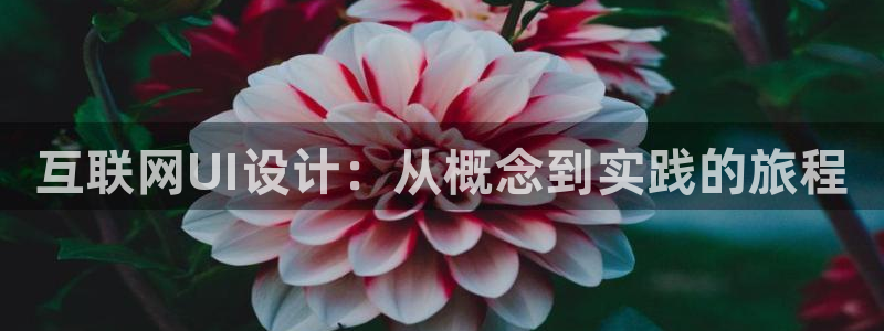 九游会网站：互联网UI设计：从