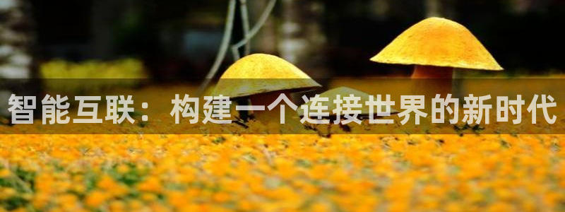 九游会手机登陆嘛