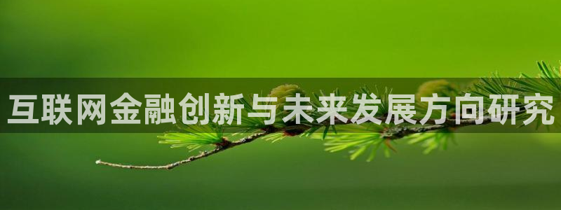 j九游会：互联网金融创新与未来